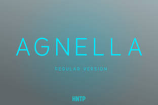 Agnella: A Modern Sans Serif for Editorial Clarity