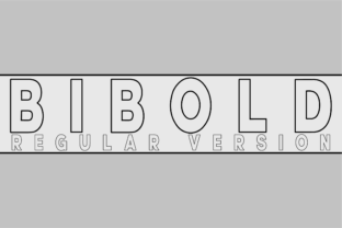 Bibold Outline: A Designer’s Honest Review