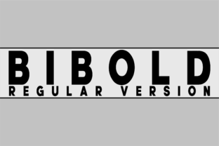 Bibold Typeface Review: Structural Sans Serif for Modern Web Design