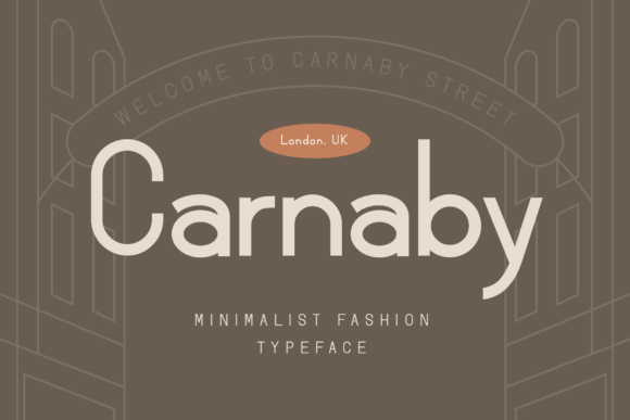 Carnaby: The Minimalist Sans Serif for Modern Web Design