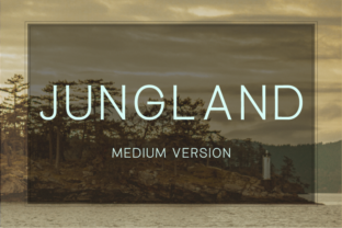 Jungland Medium: The Typeface That Polished My Small Business Brand