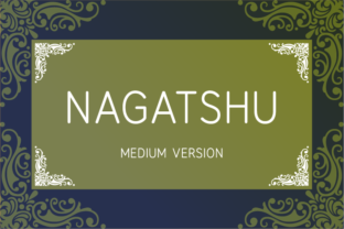 Nagatshu Medium: The Simple Typeface Upgrade Your Brand Needs