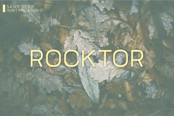 Rocktor Typeface: A Minimalist Font for Polished Brand Identity