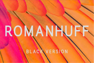 Why Romanhuff Black Is the Best Font for Small Business Branding